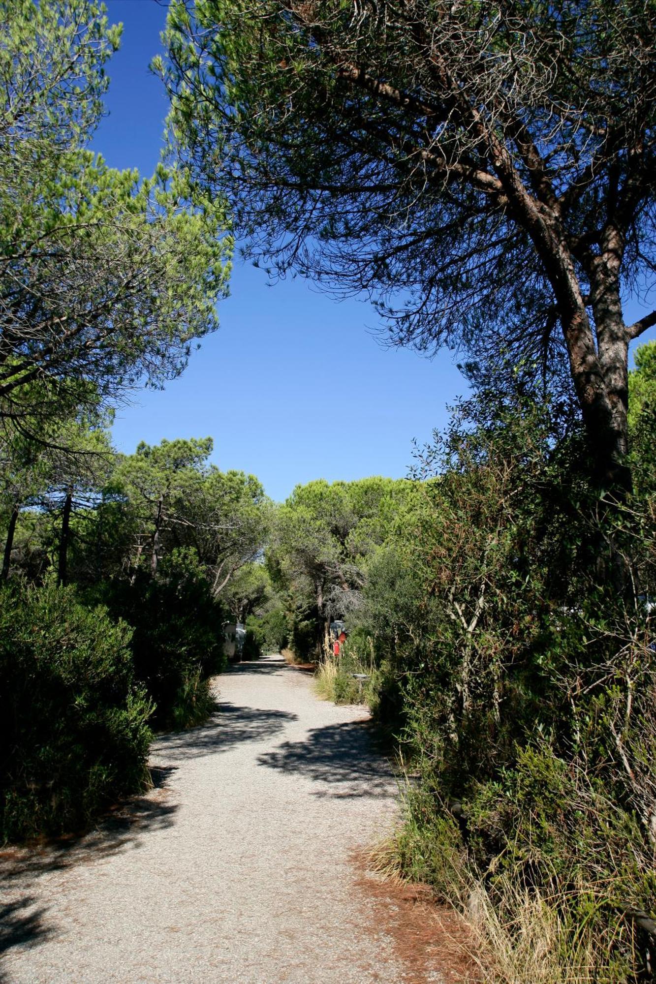 ホテル Camping Maremma Sans Souci カスティリオーネ・デッラ・ペスカーイア エクステリア 写真