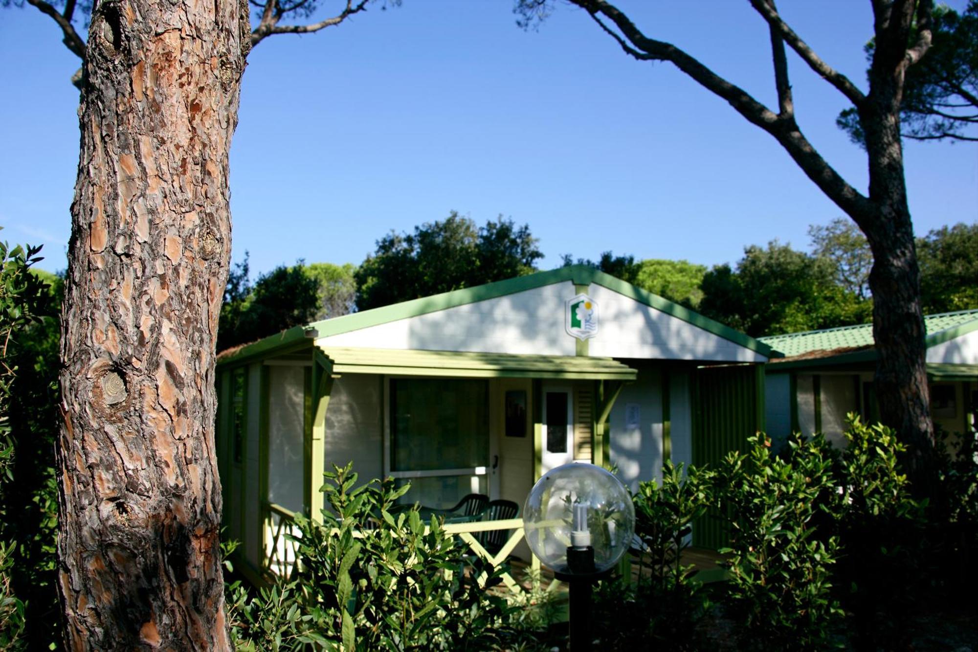 ホテル Camping Maremma Sans Souci カスティリオーネ・デッラ・ペスカーイア エクステリア 写真