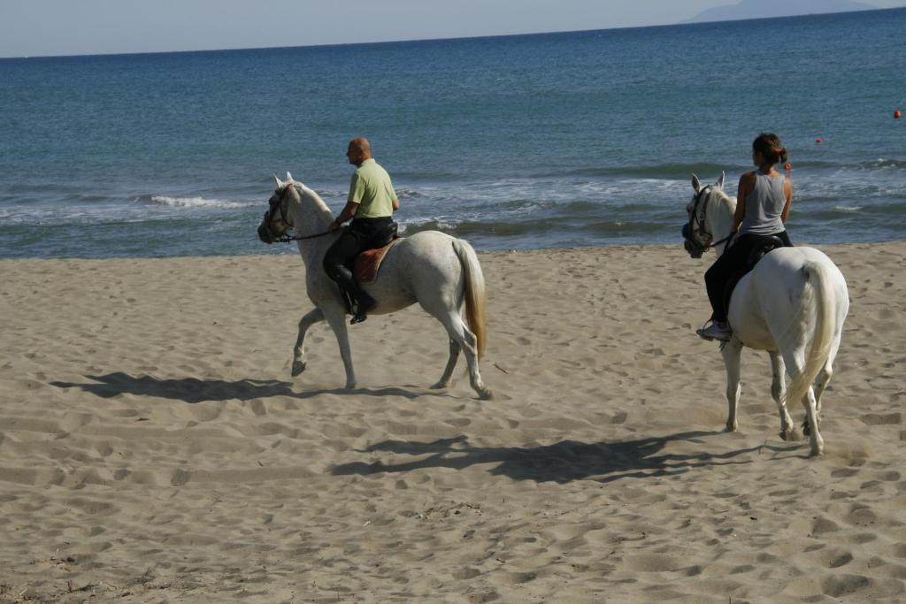 ホテル Camping Maremma Sans Souci カスティリオーネ・デッラ・ペスカーイア エクステリア 写真