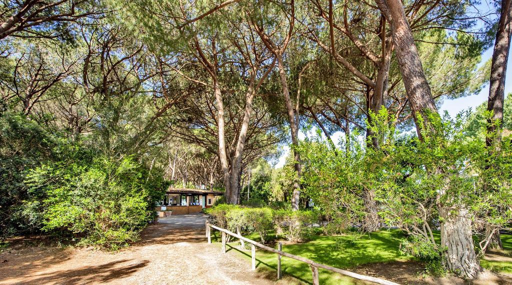 Camping Maremma Sans Souci カスティリオーネ・デッラ・ペスカーイア エクステリア 写真